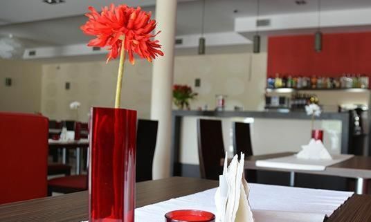 Отель Hotel Cynamon Tokarnia-11