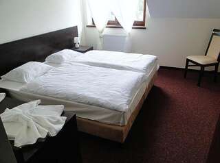 Отель Hotel Cynamon Tokarnia Двухместный номер с 1 кроватью или 2 отдельными кроватями-4